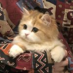 云容的头像-Unity游戏开发之路